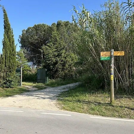 Isard 4 Bis Junto A La Playa Apartamento *